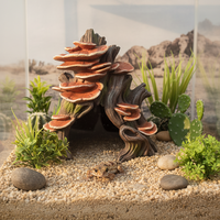 Nouvelle étagère en forme de tronc d'arbre Xinly 2025, décoration d'aquarium, cachettes et grottes pour reptiles
