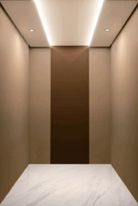 Ascenseurs pour passagers d'hôtel au design moderne, intérieur/extérieur, trois étages, cinq étages, traction sans engrenage pour une utilisation publique et commerciale de petite taille - Product Image 4