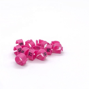 Alle Soorten Racen Australië Tag Kippenduiven Race Vogel Ring Papegaai Duif Bendes 2020 Duiventags Te Koop - Product Image 6