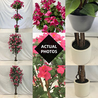 Plantes Artificielles en Gros - Bonsaï Bougainvillier Réaliste, Faux Arbre à Fleurs Vertes dans des Pots Élégants pour la Décoration Maison et Bureau