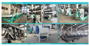 Rongda Automatic CE Customizable Ring Die Poultry Duck Feed Pellet Mill Machine - Product Image 6
