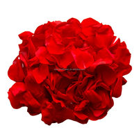 Rozen Eeuwige Rozenblaadjes Voor Altijd Rozen Voor Bruiloft Confetti Deco Geconserveerde Planten En Bloemen Bloemblad Biologisch Afbreekbaar Groot Formaat Y