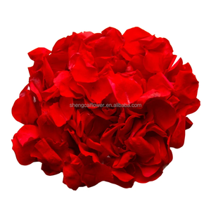 Roses éternelles Pétales de roses éternelles Roses éternelles pour confettis de mariage Décoration Plantes et fleurs conservées Pétales biodégradables Grande taille Y - Product Image 1