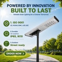 Lampadaire solaire 300W, batterie LiFePO4 grande capacité, panneau solaire de haute qualité pour l'énergie solaire hors réseau, éclairage public