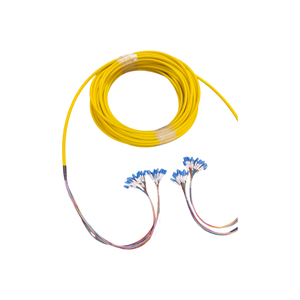 24 cœurs Single Mode OS2 Trunk Cables 0.9mm Bunchy Breakout Cable Optic <span class=keywords><strong>Patch</strong></span> Cord avec Pull Eye <span class=keywords><strong>pour</strong></span> Data Center - Product Image 1