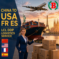 Transitaire logistique LCL DDP, agent de services de fret maritime de Chine Shenzhen vers les États-Unis, la France, l'Espagne