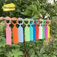 Étiquettes de plantes de jardinage en plastique PP épaissi de haute qualité marqueurs de raisin imperméables écologiques avec attache à boucle
