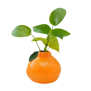Jarrón Hidropónico de Cerámica Creativo, Ecológico y Moderno, Tallado a Mano, para Plantas Verdes y Naranjas, Decoración para Hogar, Escritorio, Balcón y Jardín, Venta Caliente - Product Image 4