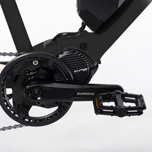 Mise à niveau d'usine en Chine Vélo cargo E-bike à 2 roues et 4 pistons avec freins hydrauliques Vélo cargo 24 "pour hommes - Product Image 5