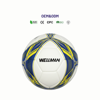 Ballon de football léger et durable, taille personnalisée, PU thermocollé, logo personnalisé, couleur personnalisée, marque WELLMAN, pour l'extérieur