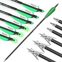 Lot de 6 flèches de carabine à poulies en carbone de 20 pouces avec plumes en plastique et pointes de chasse, nocks lumineux pour la pratique du tir à l'arc, la chasse et le tir sportif
