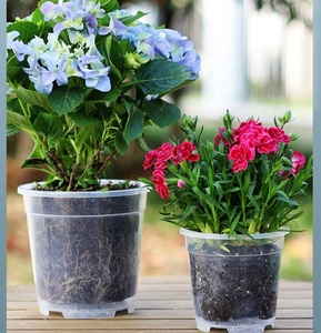 <span class=keywords><strong>Maceta</strong></span> <span class=keywords><strong>Transparente</strong></span> de PP Ecológica para Control de Raíces, Diseño de Orquídea Mariposa, para Hogar y Jardín - Product Image 4