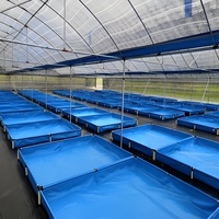 Grande serre agricole monopente mobile pour poulets de chair avec couverture en polycarbonate pour l'élevage avicole