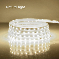 Bande lumineuse LED SMD2835 AC110V 220V 10MM, lumières LED IP67, étanches, en silicone, pour extérieur, 120 LED/m