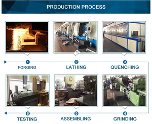 Food Grade Black Thermoplastic Grease Lubricated High-Precision Pillow <b>Block</b> Ball Bearing UCFL204-209 OEM Factory Supply - Product Image 6