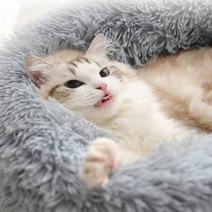 Langes Plüsch-Haustier bett Umwelt freundlich Abnehmbar Tragbar Wasch bar Modisch Bequem Weich kissen Matratze für Katzen & Hunde Sofa - Product Image 2