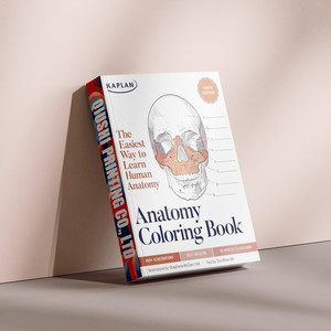 Livre de coloriage d'<span class=keywords><strong>anatomie</strong></span>, 10e édition, impression personnalisée, couverture souple, manuel médical, reliure parfaite, impression de <span class=keywords><strong>livres</strong></span> - Product Image 6