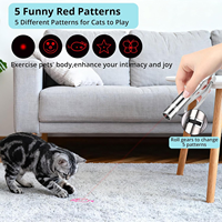 Vente en gros d'usine : Jouet d'entraînement pour chat et chien, écologique, avec lumière LED, baguette laser interactive USB pour animaux de compagnie, en métal