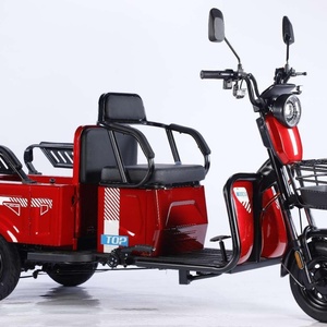 Triciclo Eléctrico de Carga de 3 Ruedas con Carrocería Abierta y 3 Velocidades, Precio de Fábrica, 48V 500W, Neumáticos Anchos, para Pasajeros - Product Image 6