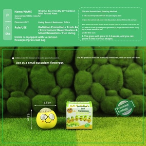 Muñeca de cabeza de hierba larga con expresión de cerámica ecológica Original, aleación DIY para interior, puesto de planta pequeña, regalo para <span class=keywords><strong>estudiantes</strong></span>, logotipo publicitario - Product Image 6