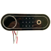 Caja Fuerte con Cerradura de Huella Dactilar LS-246, Desbloqueo con Llave y Huella Dactilar, Alta Seguridad Antirrobo, Compatible con TUYA, Marca LU SUO