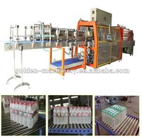 Chaîne de Production Automatique 3 en 1 pour Usine de Purification et d'Embouteillage d'Eau Minérale Pure