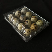 Barquette d'emballage carrée en plastique PET transparent de qualité alimentaire pour œufs de caille, jetable, vente en gros d'usine
