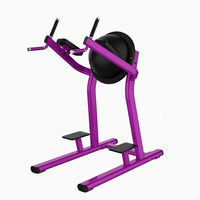 Machine à Squat Professionnelle à Charge de Plaques en Acier pour Entraînement des Cuisses, Équipement de Musculation Commercial pour Salle de Sport, Fourniture Directe d'Usine en Gros