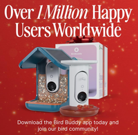Comederos para Pájaros para Exteriores con Cámara de Observación de Aves 2K, Regalos Ideales para Navidad, Regalos para el Día del Elefante Blanco