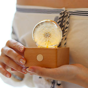 Tiktok Trending Products Petites idées d'investissement 2024 Souvenir de voyage touristique personnalisé Real Eternal Flower Light - Product Image 2