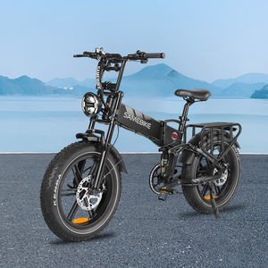 Vélo électrique pliable tout-terrain 20 pouces à gros pneus, moteur haute puissance 48V17AH, populaire en UE, modèle RS-A02 Plus - Product Image 1