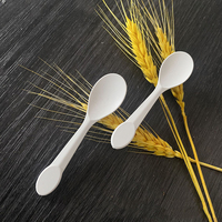 Mini cuillère écologique CPLA personnalisée cuillère à crème glacée jetable emballée individuellement
