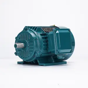 Motor de potencia de CA de inducción asíncrona trifásica YE2/YE3/YE4, motor eléctrico de 380/630V/50Hz/60Hz