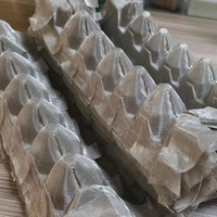 Nouvelle machine à mouler des barquettes à œufs en ABS avec boîte à œufs en aluminium pour utilisation en restauration, dotée de composants principaux tels que le moteur à engrenages à roulement PLC