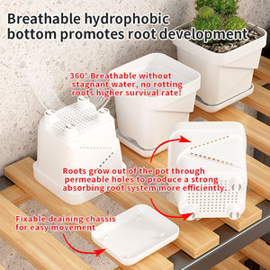 Vaso in <span class=keywords><strong>plastica</strong></span> con controllo radicale, protezione delle radici e anti-marciume per piante, ideale per balconi, piccole serre e semenzai - Product Image 2