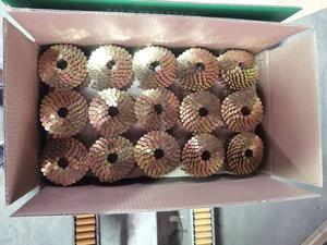 Clous de bobine de toiture à grande tête galvanisée de <span class=keywords><strong>1</strong></span> à <span class=keywords><strong>1</strong></span>/<span class=keywords><strong>4</strong></span> pouces - Product Image 4