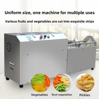 Tijdbesparende, efficiënte, gemotoriseerde, commerciële, multifunctionele groente- en fruitsnijmachine, strokenvormig, roestvrij staal, hoogwaardig