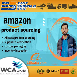 Dominio de la Logística de Envío de Amazon FBA, Logística Express Integral, Tiempos de Tránsito Transparentes y Estables con Agente de Envío en Baréin - Product Image 5