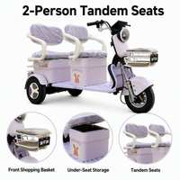 Tricycle électrique à 3 roues pour adultes, E-Trike 2 places avec panier avant et rangement pour les trajets familiaux