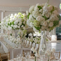 Boule de fleurs de couleur verte C-524, style naturel sauvage, hydrangea vert et blanc, anthurium, centre de table pour mariage, décoration d'événements de mariage