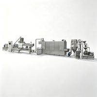 Ligne de production professionnelle de machines de transformation de fécule de maïs modifiée à haute capacité (400 kg - 1500 kg/h)
