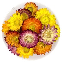 Thé de chrysanthème arc-en-ciel | Beaux pétales et teinte vive au parfum floral naturel