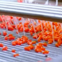 Bessenfruit Bramen Aardbei Bosbessen Frambozen Jam Sap Productie-Installatie Verwerkingsmachine Lijn