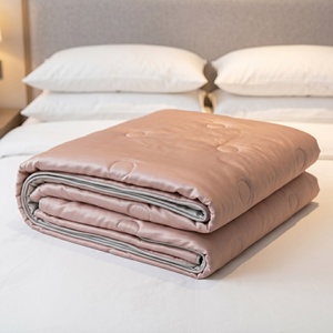 Commercial Grade Washable Cooling Comforter Lightweight Hotel Summer Blanket Silver Grey Duvet Insert For Luxury Resort - Product Image 1