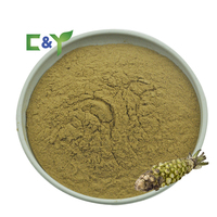 Poudre de Wasabi OEM personnalisée en usine, Poudre de Wasabi pour l'assaisonnement, Poudre de pâte de Wasabi, Poudre de Wasabi de Chine, Poudre de Wasabi sèche