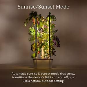 Jardinière de jardin verticale Gardyn de style ferme lampe à LED système de jardinage de bureau intérieur pour la décoration intérieure pour une application <span class=keywords><strong>extérieure</strong></span> - Product Image 4