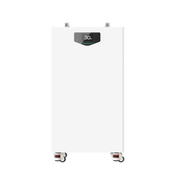 Système de stockage d'énergie solaire avec batterie LiFePO4 IP65 51,2V 314Ah 16kWh, BMS intelligent, WiFi et Bluetooth pour alimentation de secours domestique