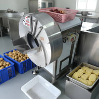 Máquina Semiautomática de Bajo Costo para Freír Papas Fritas y Chips de Plátano, Producción de 100-500kg/h, Línea de Producción Industrial