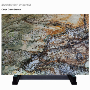 Carreaux brésiliens de dalle de quartzite de granit Barricato vert doré Carpe <span class=keywords><strong>Diem</strong></span> polis pour les comptoirs de cuisine de Villa Shangri La Blue - Product Image 1