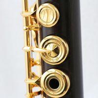 High Quality Flute Professional Ebony Wood Flute Instrument with Gold Plated Keys Flute